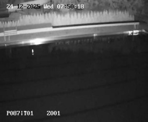 Koupaliště Petynka - Hlavní bazén - 24.12.2025 v 06:45