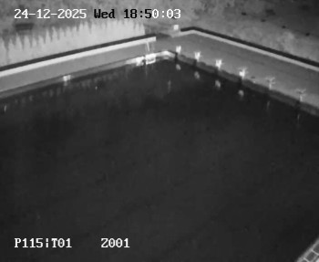 Koupaliště Petynka