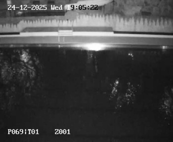 Koupaliště Petynka