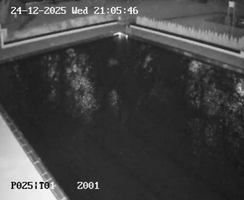 Koupaliště Petynka