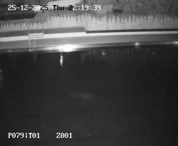 Koupaliště Petynka