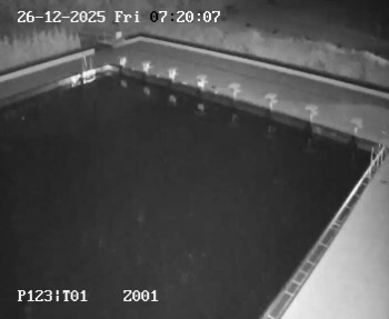 Koupaliště Petynka