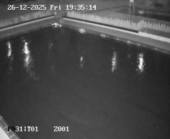 Koupaliště Petynka