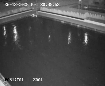 Koupaliště Petynka