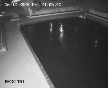 Koupaliště Petynka