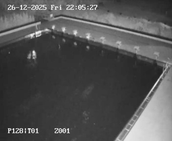 Koupaliště Petynka