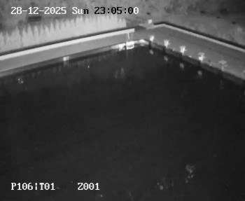 Koupaliště Petynka