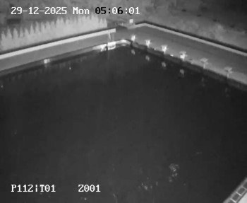 Koupaliště Petynka