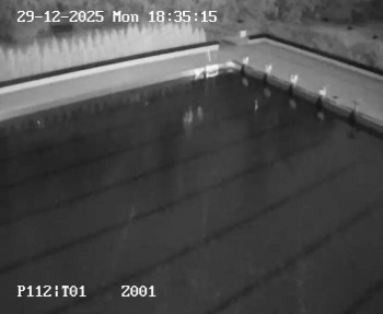 Koupaliště Petynka