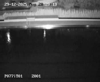 Koupaliště Petynka