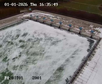 Koupaliště Petynka