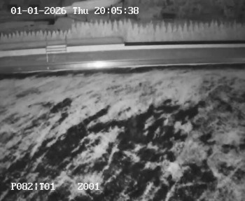 Koupaliště Petynka