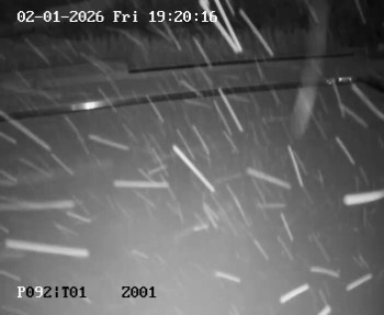 Koupaliště Petynka