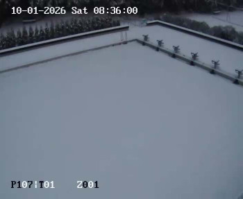 Koupaliště Petynka