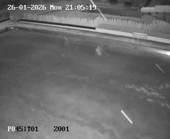 Koupaliště Petynka