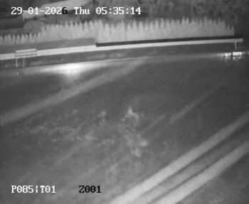 Koupaliště Petynka