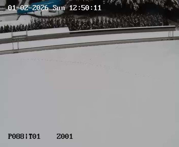 Koupaliště Petynka