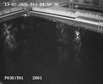 Koupaliště Petynka