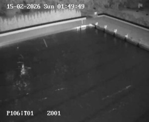 Koupaliště Petynka - Hlavní bazén - 15.2.2026 v 00:45