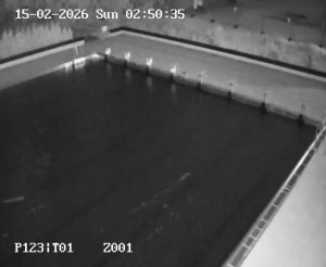 Koupaliště Petynka - Hlavní bazén - 15.2.2026 v 01:45