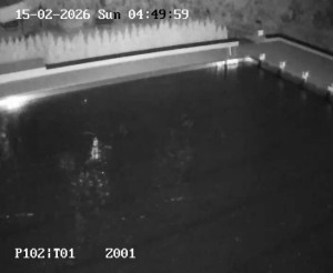 Koupaliště Petynka - Hlavní bazén - 15.2.2026 v 03:45