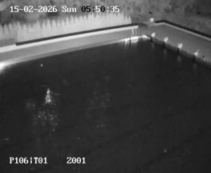 Koupaliště Petynka - Hlavní bazén - 15.2.2026 v 04:45