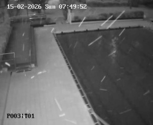 Koupaliště Petynka - Hlavní bazén - 15.2.2026 v 06:45