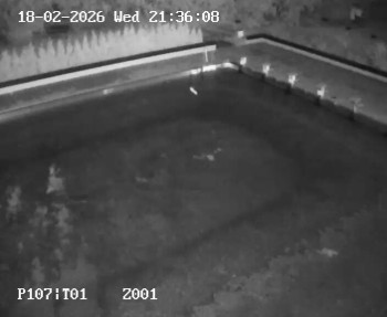 Koupaliště Petynka