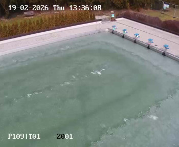 Koupaliště Petynka