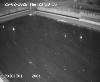 Koupaliště Petynka