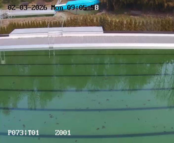 Koupaliště Petynka