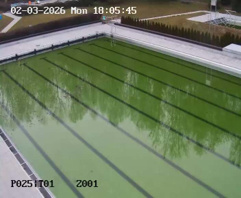 Koupaliště Petynka