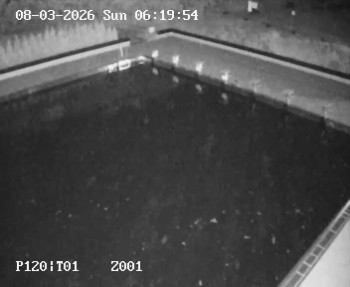 Koupaliště Petynka