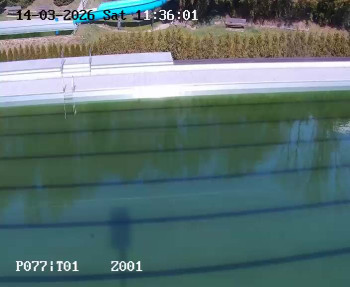 Koupaliště Petynka