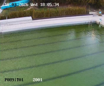 Koupaliště Petynka