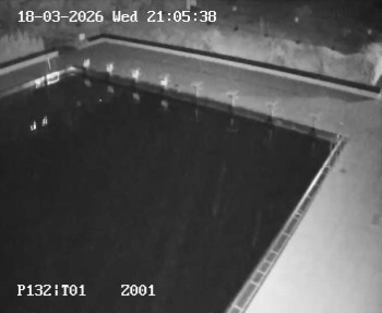 Koupaliště Petynka