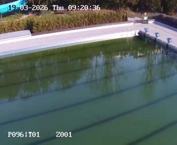 Koupaliště Petynka