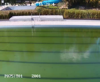 Koupaliště Petynka