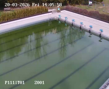 Koupaliště Petynka