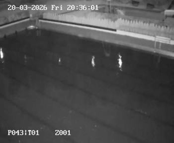 Koupaliště Petynka