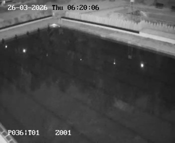 Koupaliště Petynka