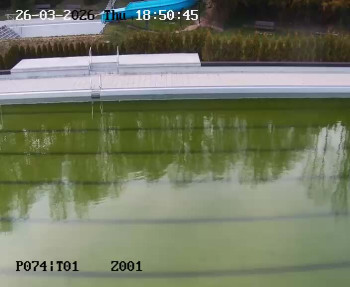 Koupaliště Petynka