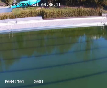 Koupaliště Petynka