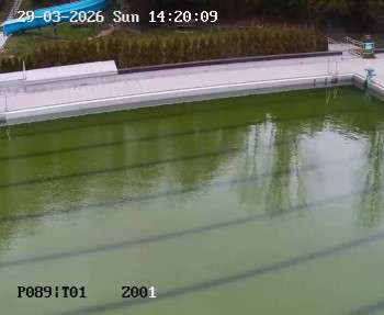 Koupaliště Petynka