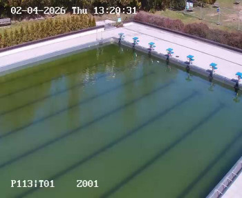 Koupaliště Petynka