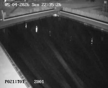 Koupaliště Petynka