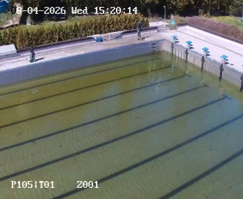 Koupaliště Petynka