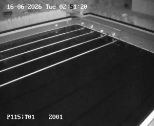 Schwimmbad Petynka - Hauptbecken - 16.6.2026 v 02:45 Schwimmbad Petynka - Hauptbecken - 16.6.2026 v 02:45