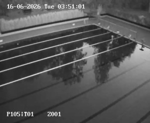 Schwimmbad Petynka - Hauptbecken - 16.6.2026 v 03:45 Schwimmbad Petynka - Hauptbecken - 16.6.2026 v 03:45