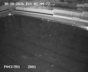 Petynka Swimming Pool - Main pool - 30.10.2026 v 02:45